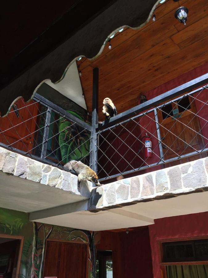 Manakin Lodge, Monteverde Cr Esterno foto